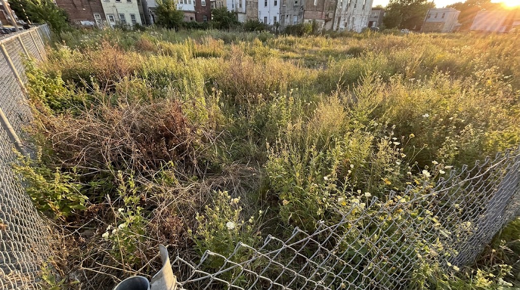 tax lien sale vs tax deed sale Vermont - how counties collect delinquent property taxes on land